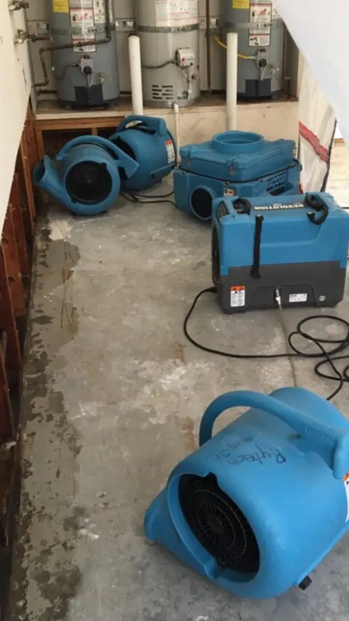 Technicians extracting water during an Orem dry-out